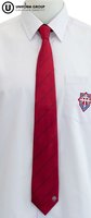 Tie - Red/Navy Stripe-trinity-college-Dunedin Schools Uniform Shop